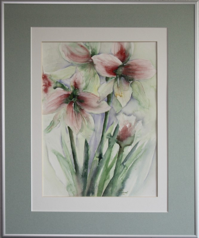 Amaryllis 1