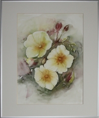 Wildrose